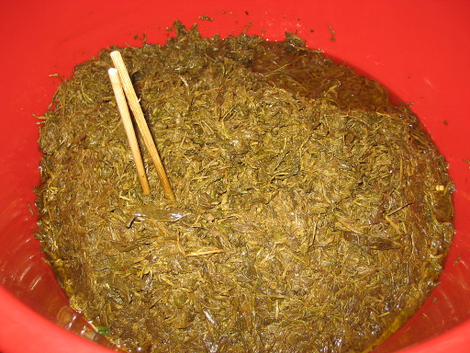 Laphet from Myanmar